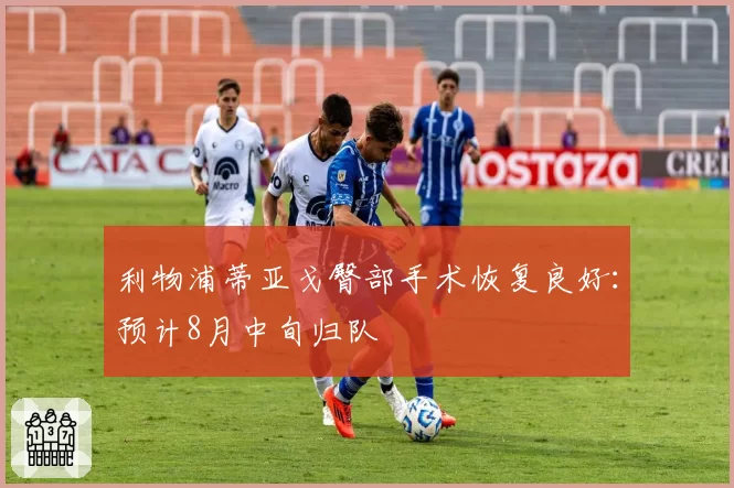 利物浦蒂亚戈臀部手术恢复良好:预计8月中旬归队