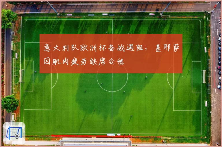 意大利队欧洲杯备战遇阻,基耶萨因肌肉疲劳缺席合练